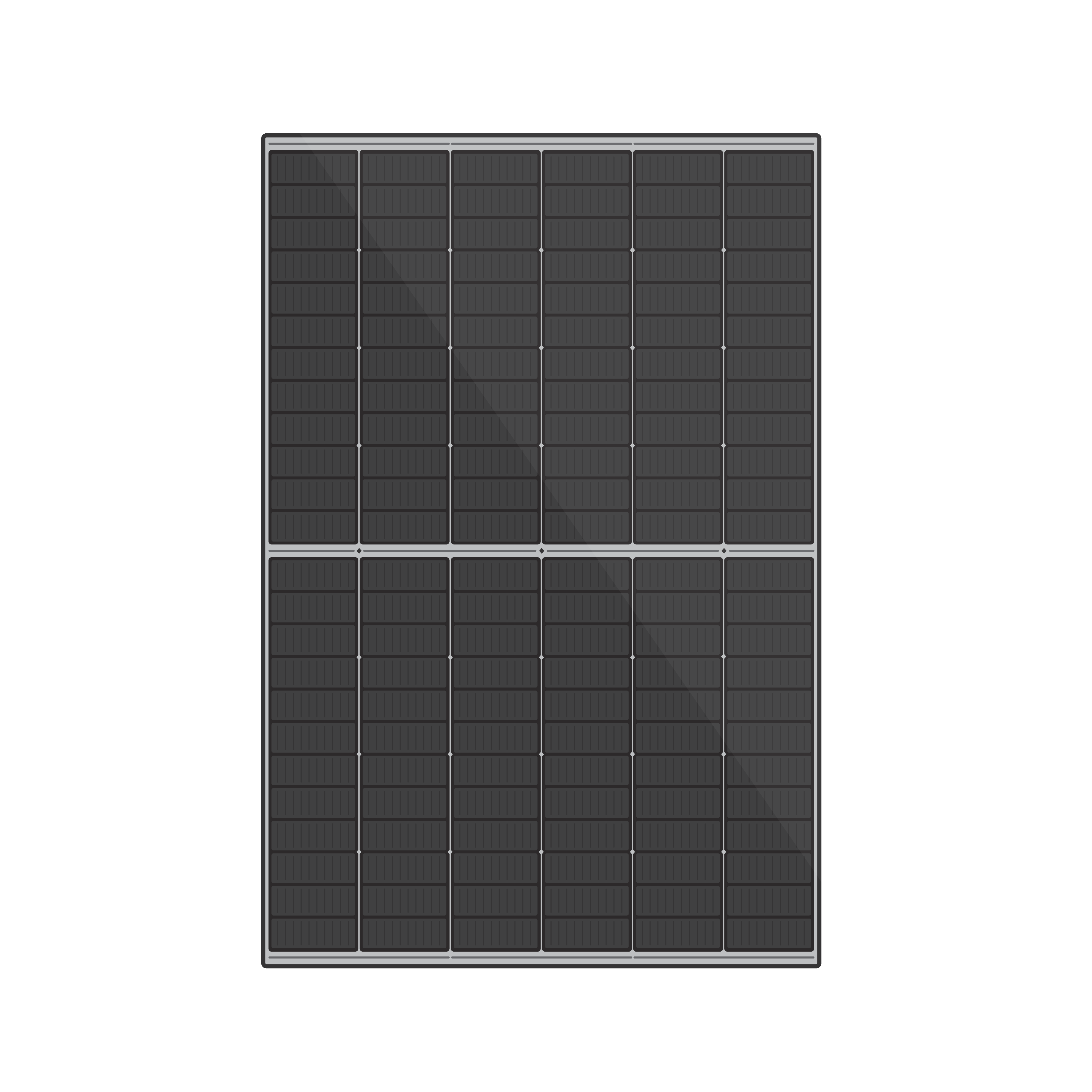 TW Solar PV Module