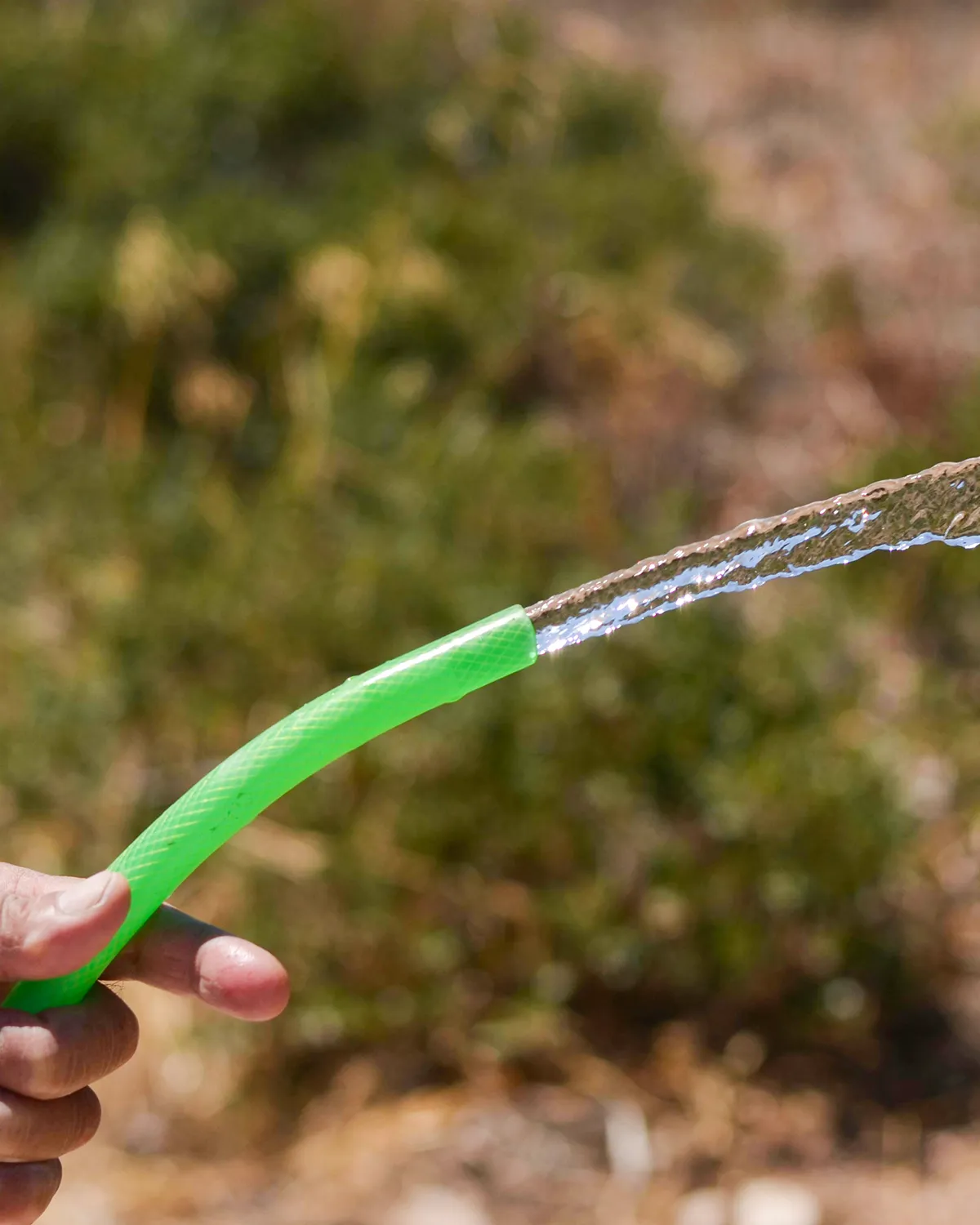 Hose with water