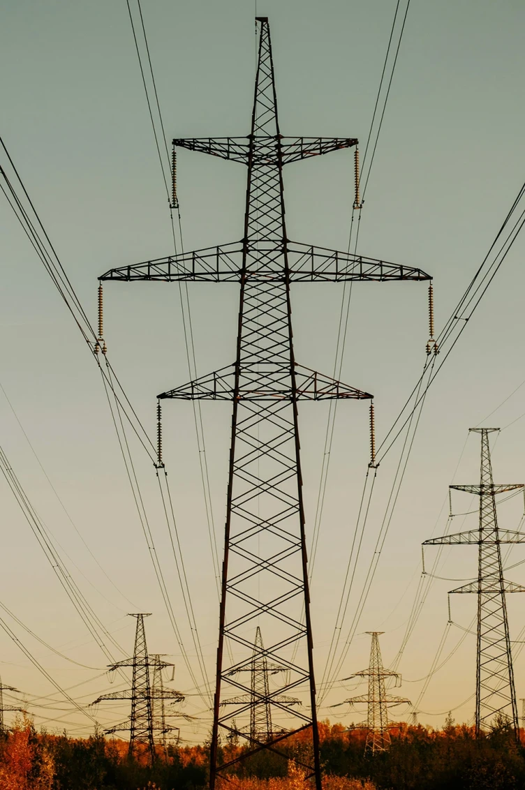 Grid electricity distribution