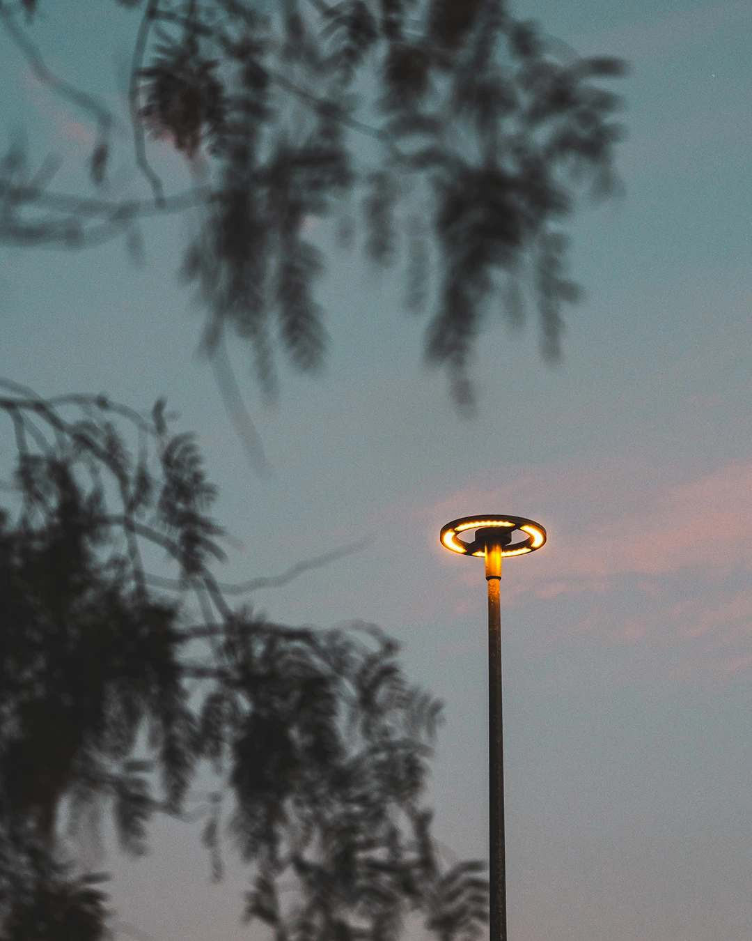 Zappi charger installation by Elite Power Group