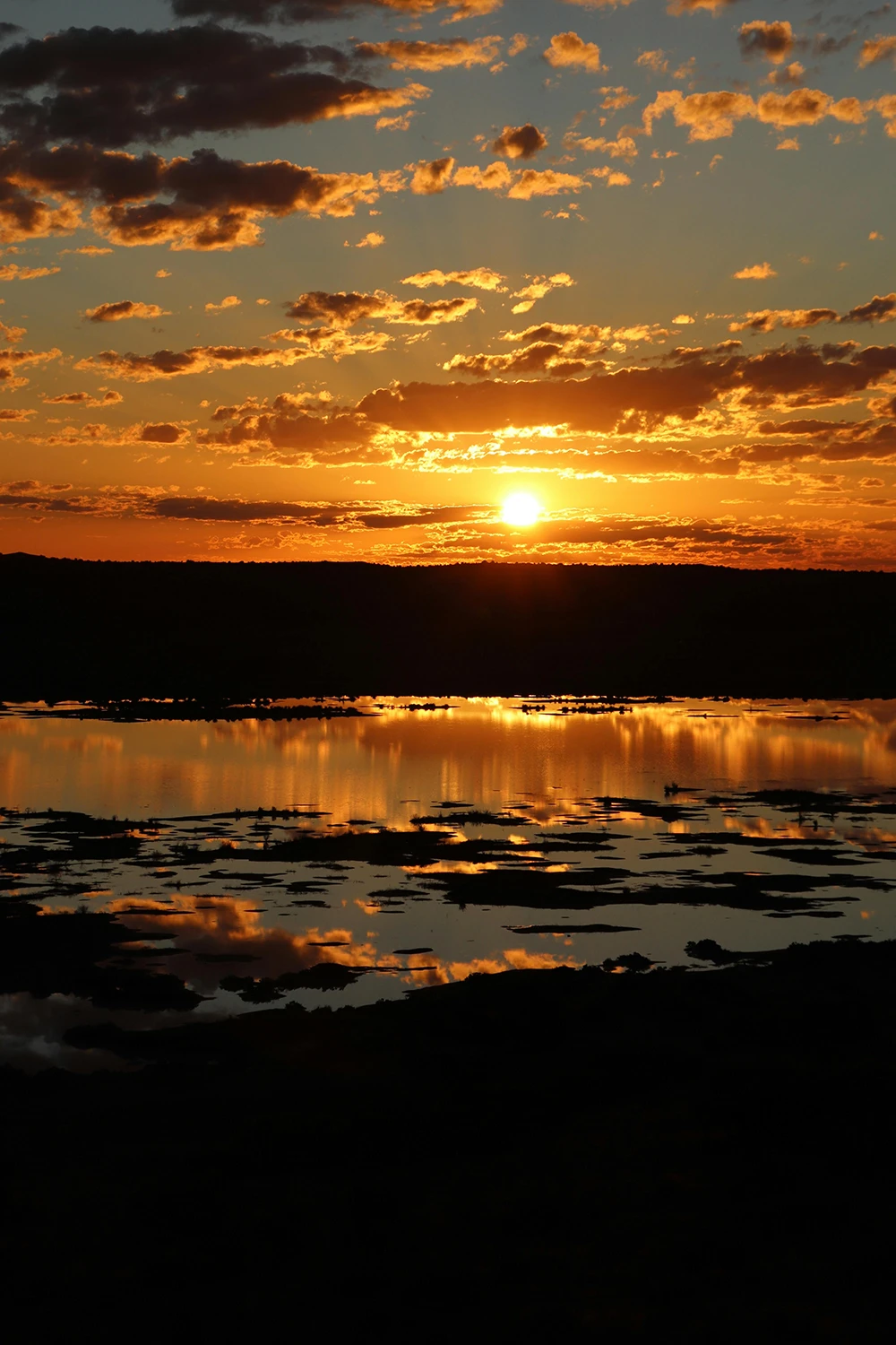 Summer sunrise Australia