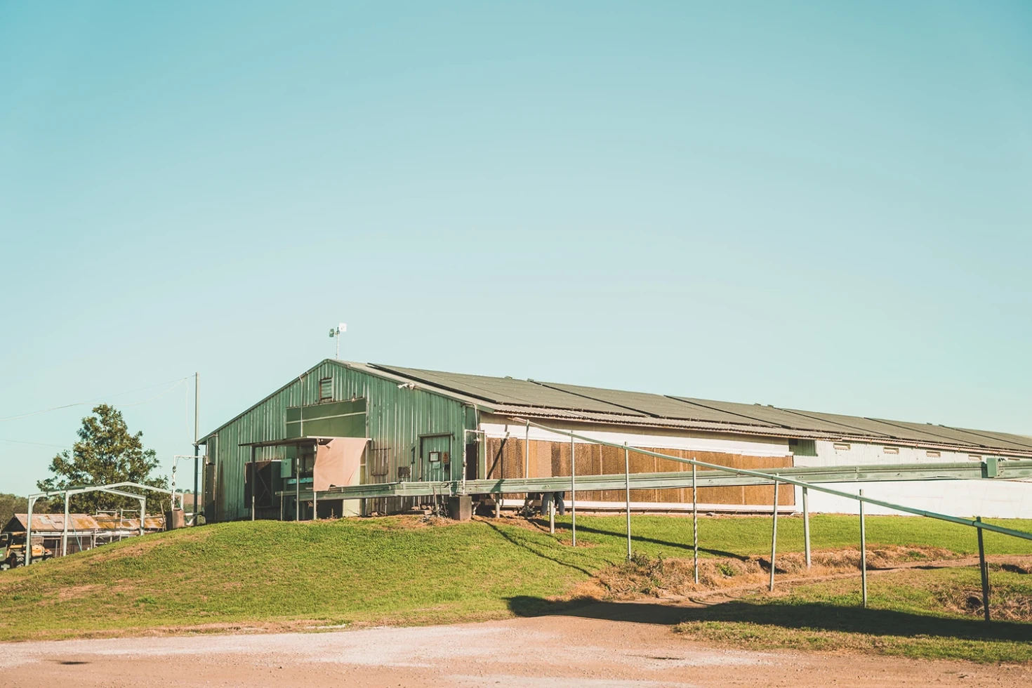 Chicken farm poultry solar system
