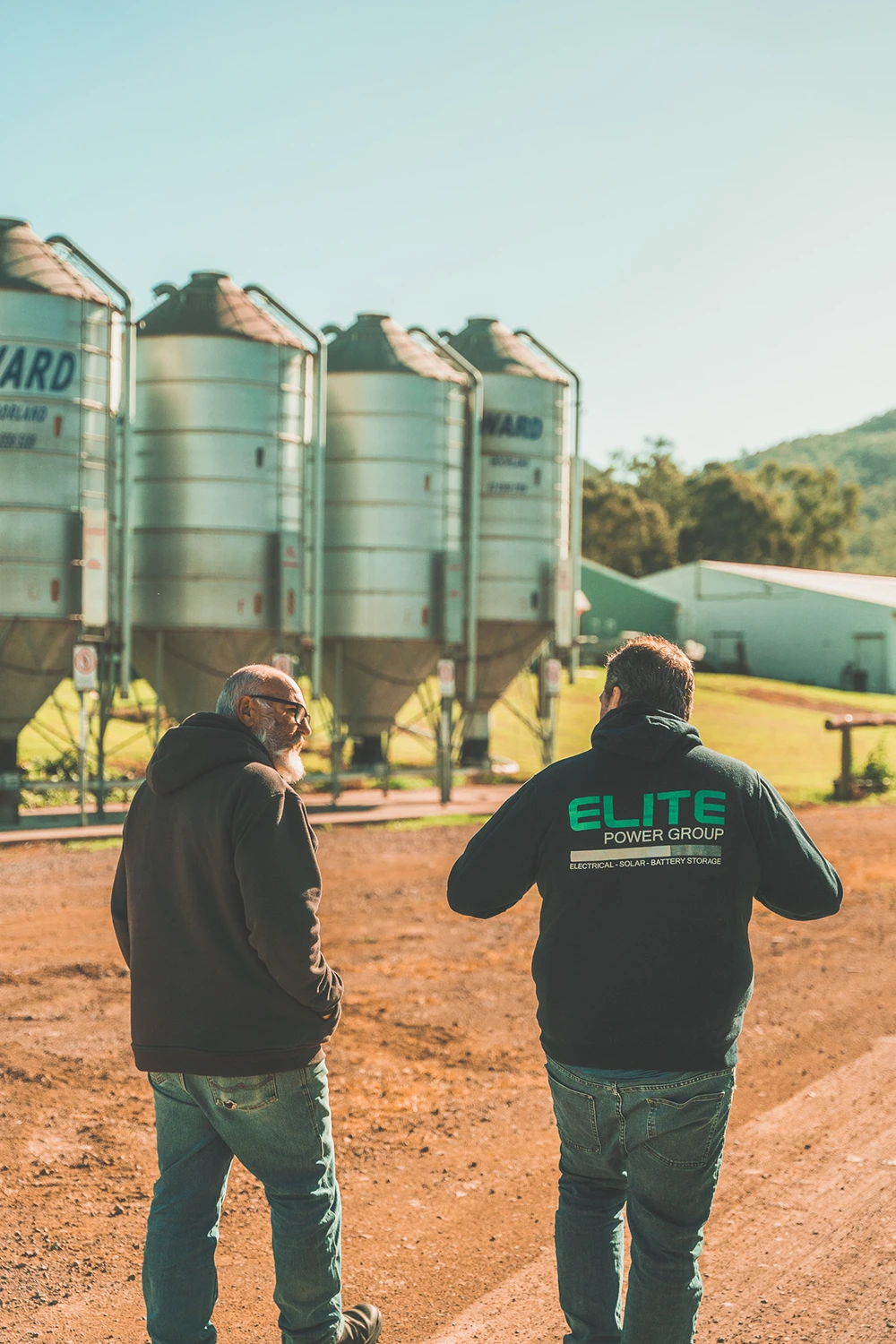 Chicken farm elite power group Chicken farm elite power group