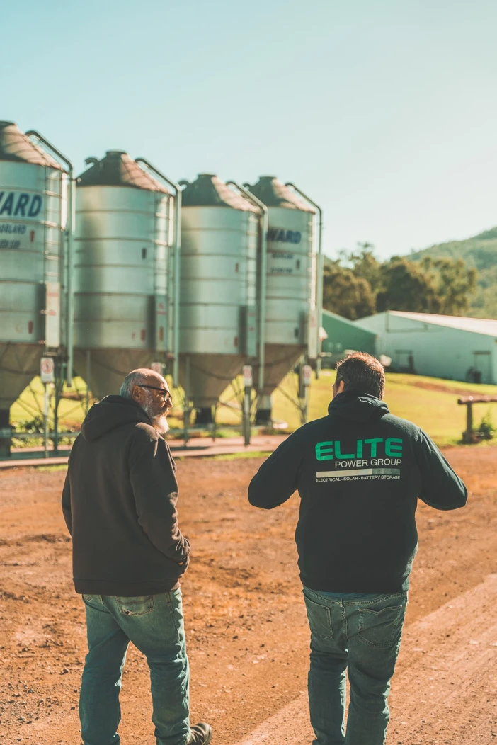 Chicken farm elite power group