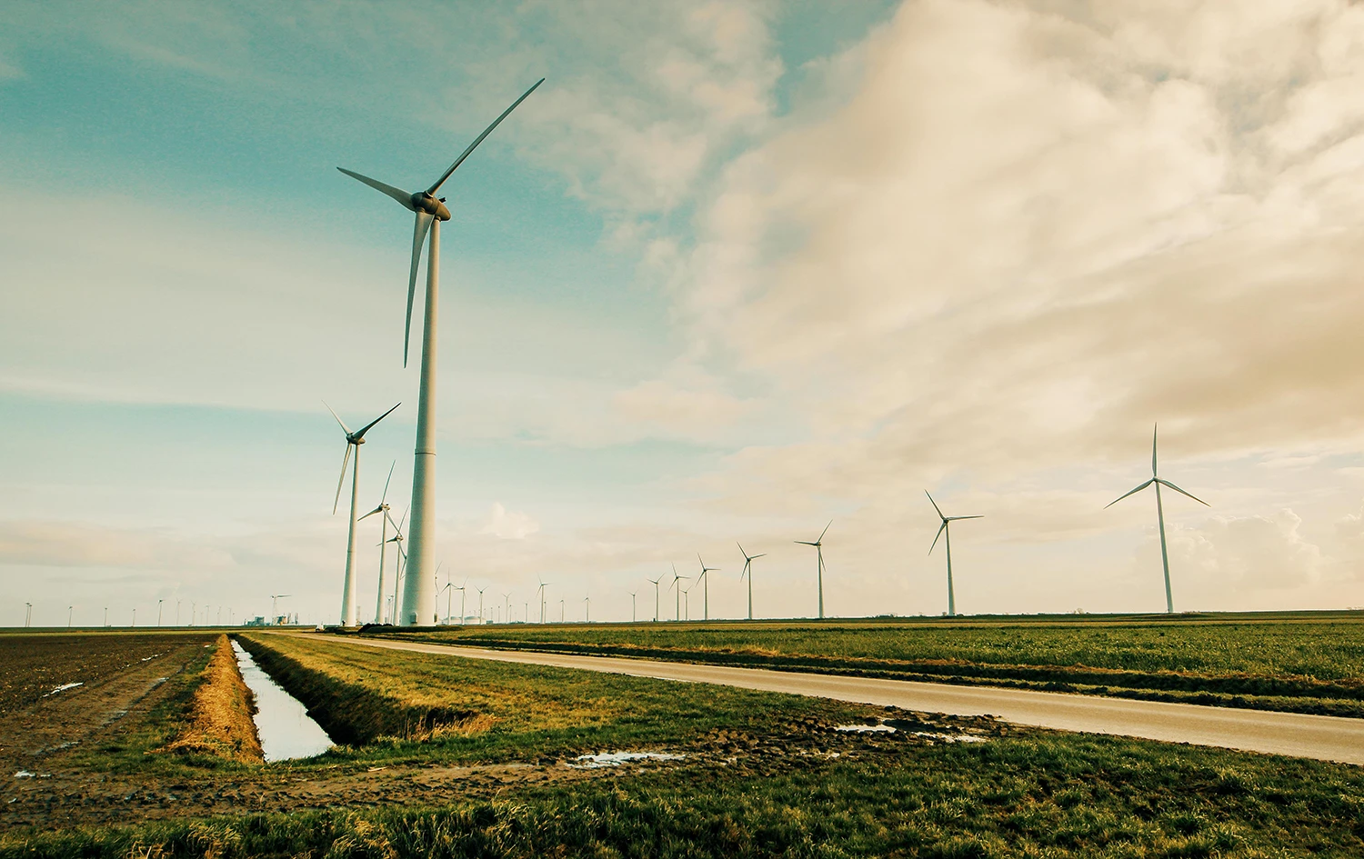 Renewable energy wind