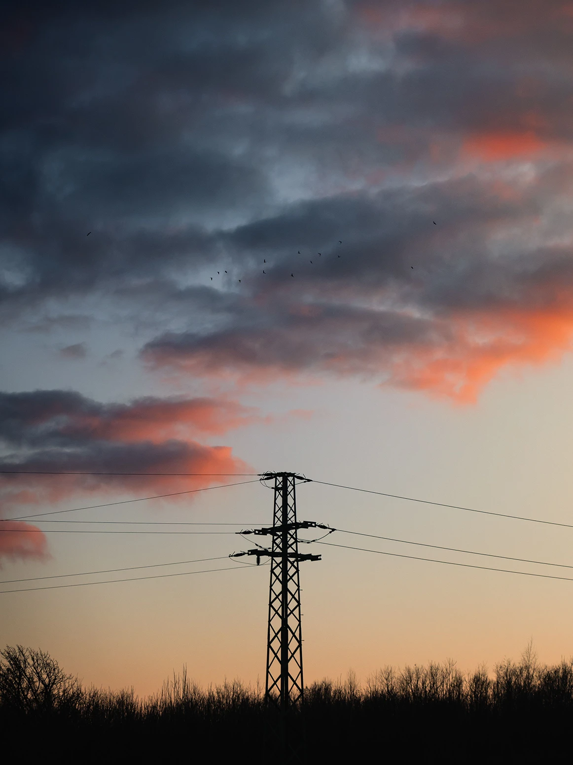 Electricity grid power lines