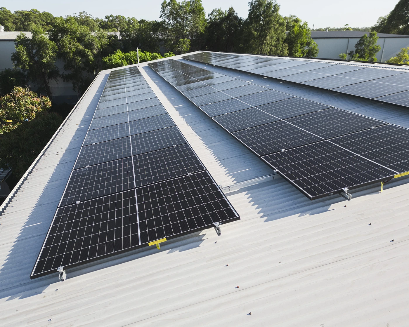 Trina solar panel array