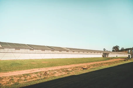 Agrivoltaics and solar for farms